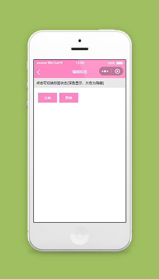 识明星小程序编辑标签页面源码下载