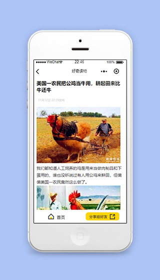 好奇读物图文排版式文章阅读分享首页源码