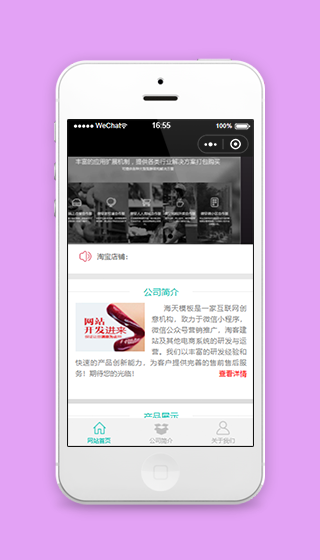 公司简介产品展示介绍企业宣传行业程序源码