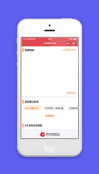 费用明细展示爱心基金会台账信息栏程序源码